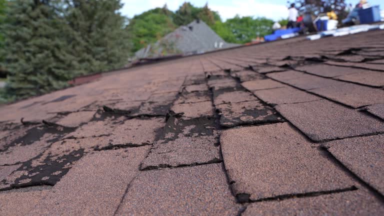 Best Skylight Installation and Repair  in Colonial Heights, VA